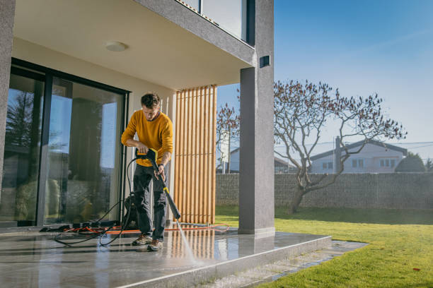 Best Pre-Holiday Cleaning  in St Charles, IL